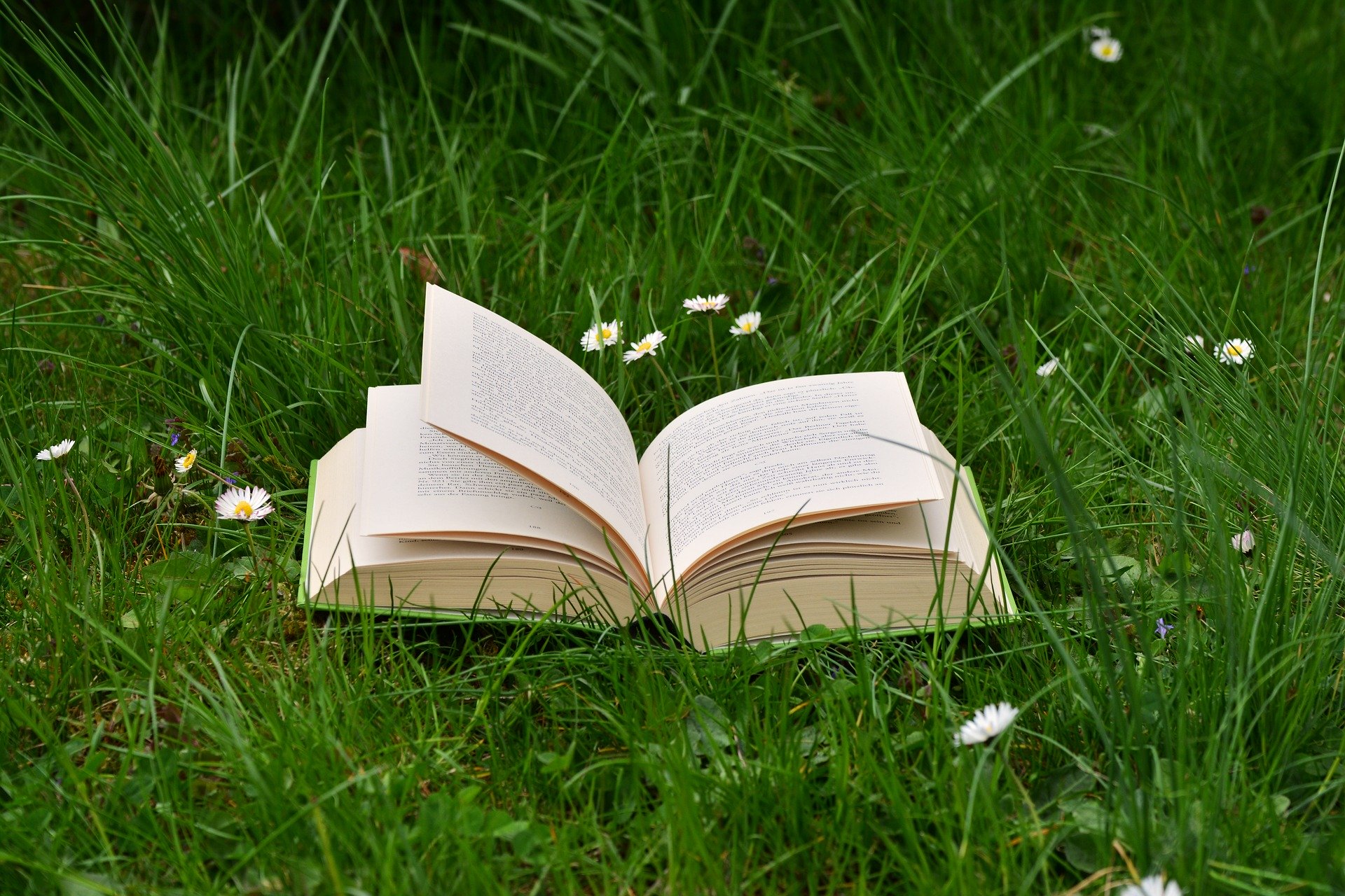 a book on grass