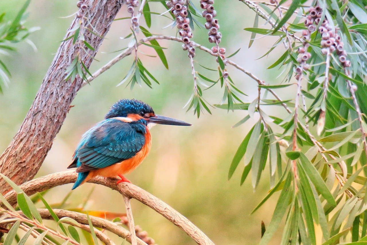 a bird perched on a branch