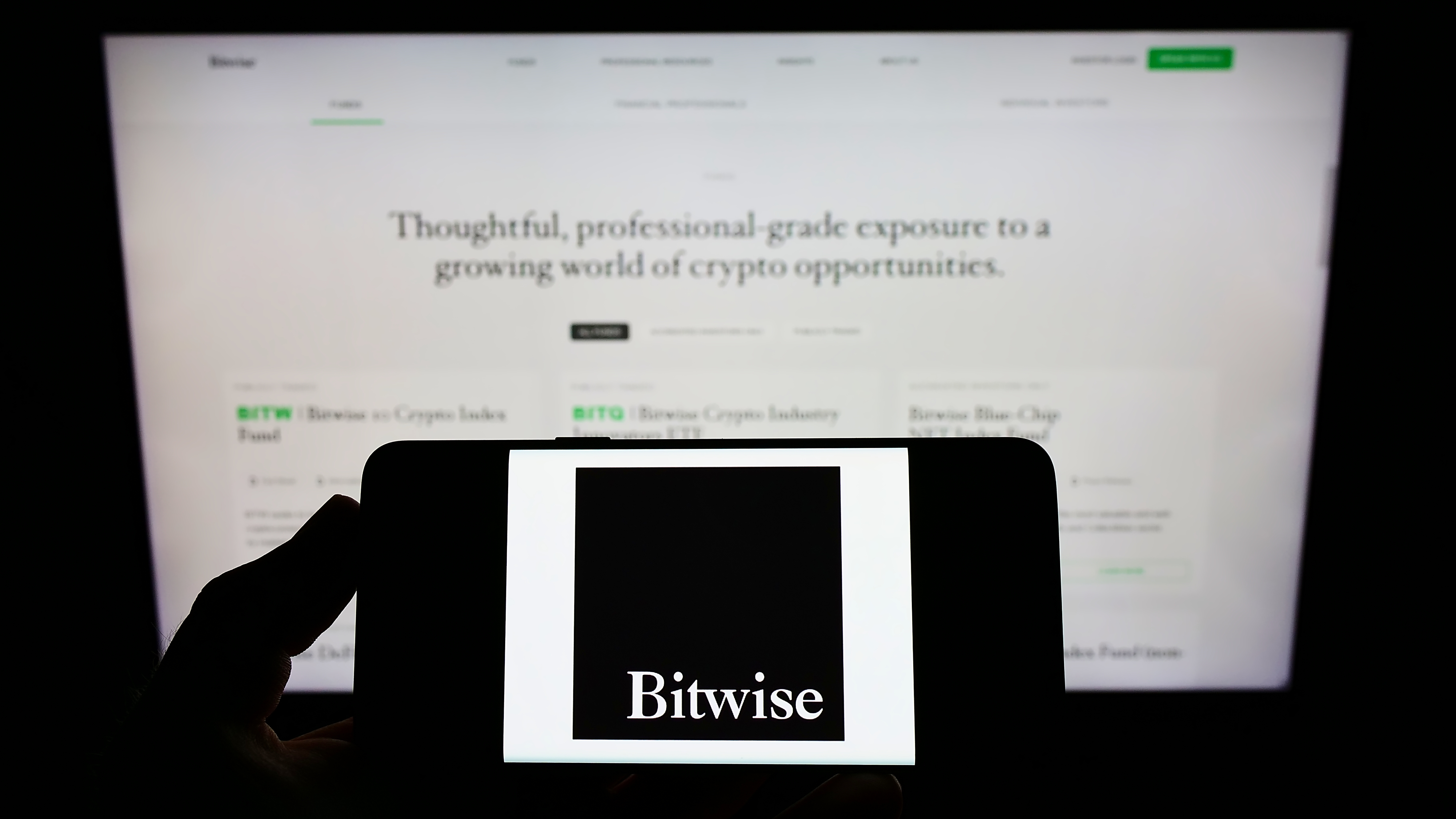 Bitwise logo