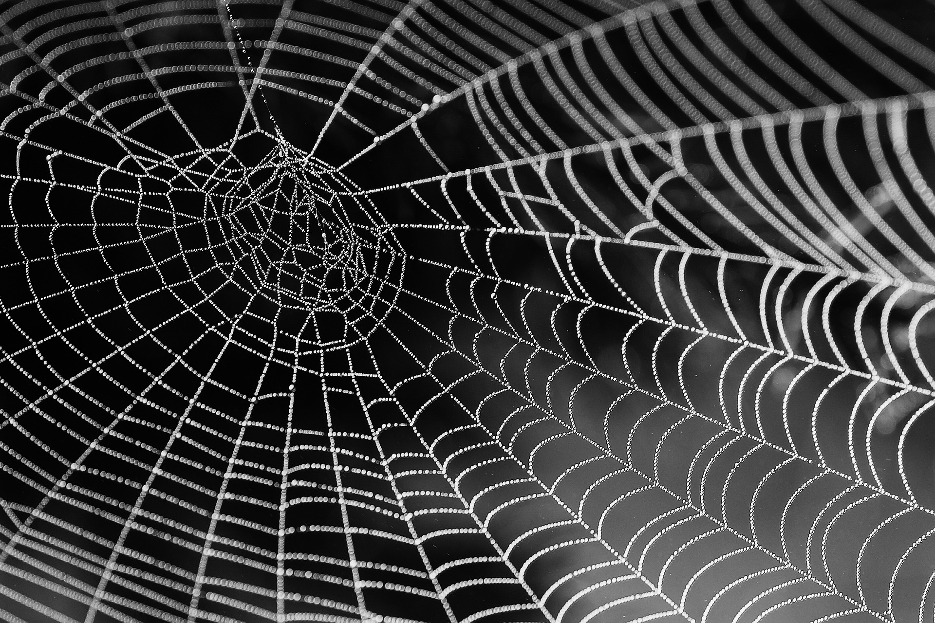 a close-up of a black and white pattern