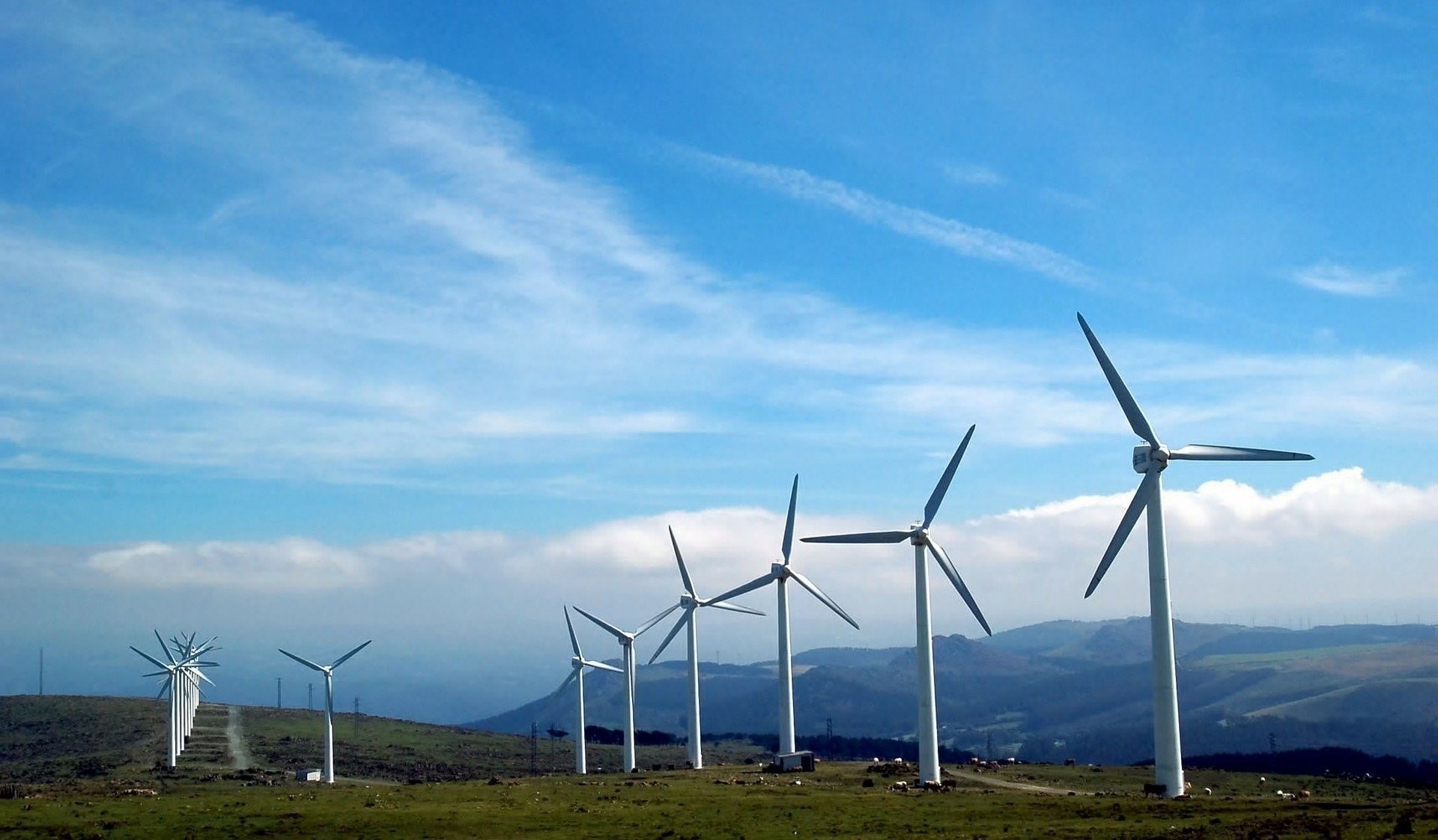 a group of wind turbines