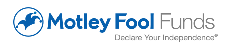 Logo for The Motley Fool