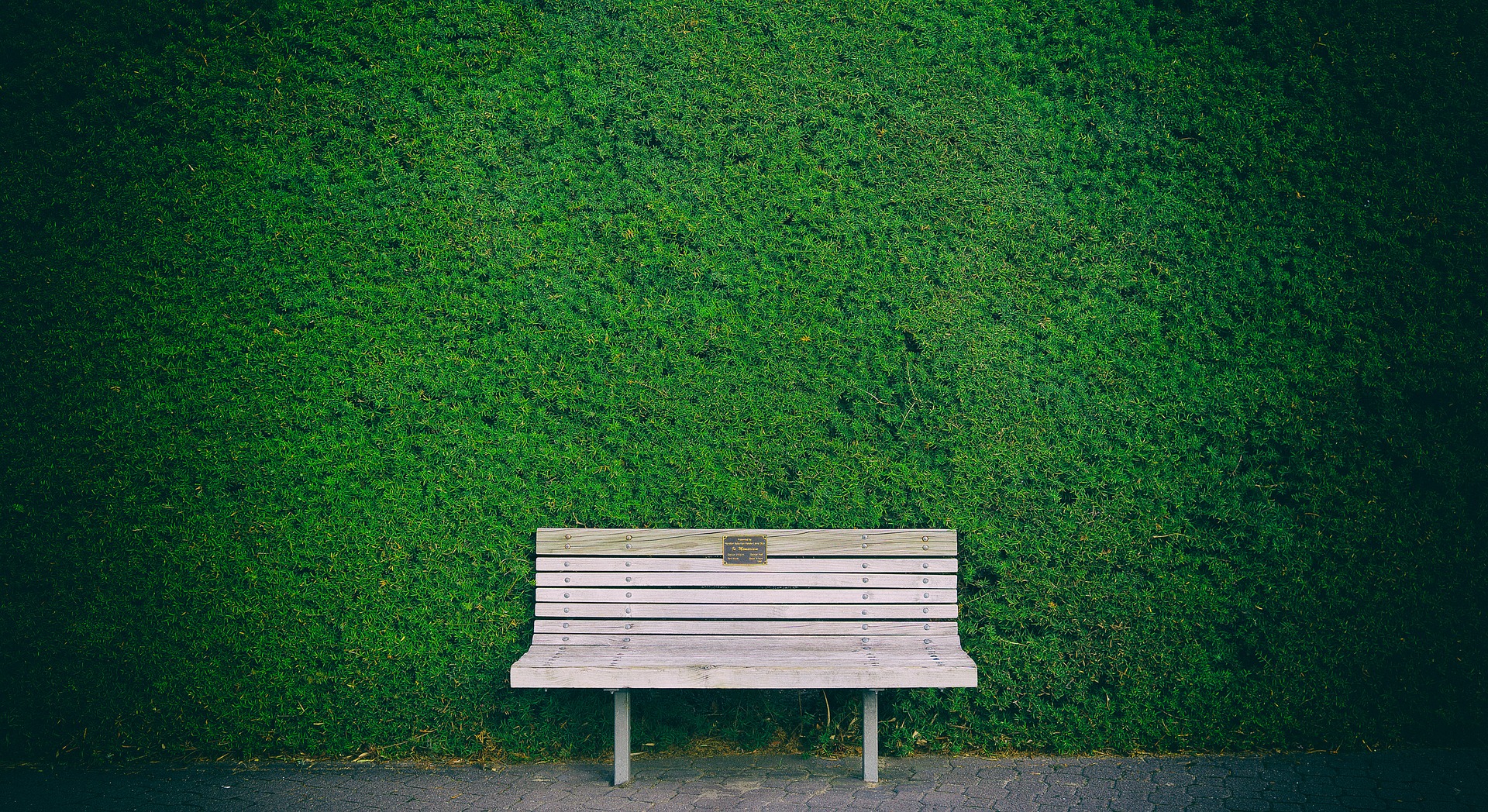 a bench in a park