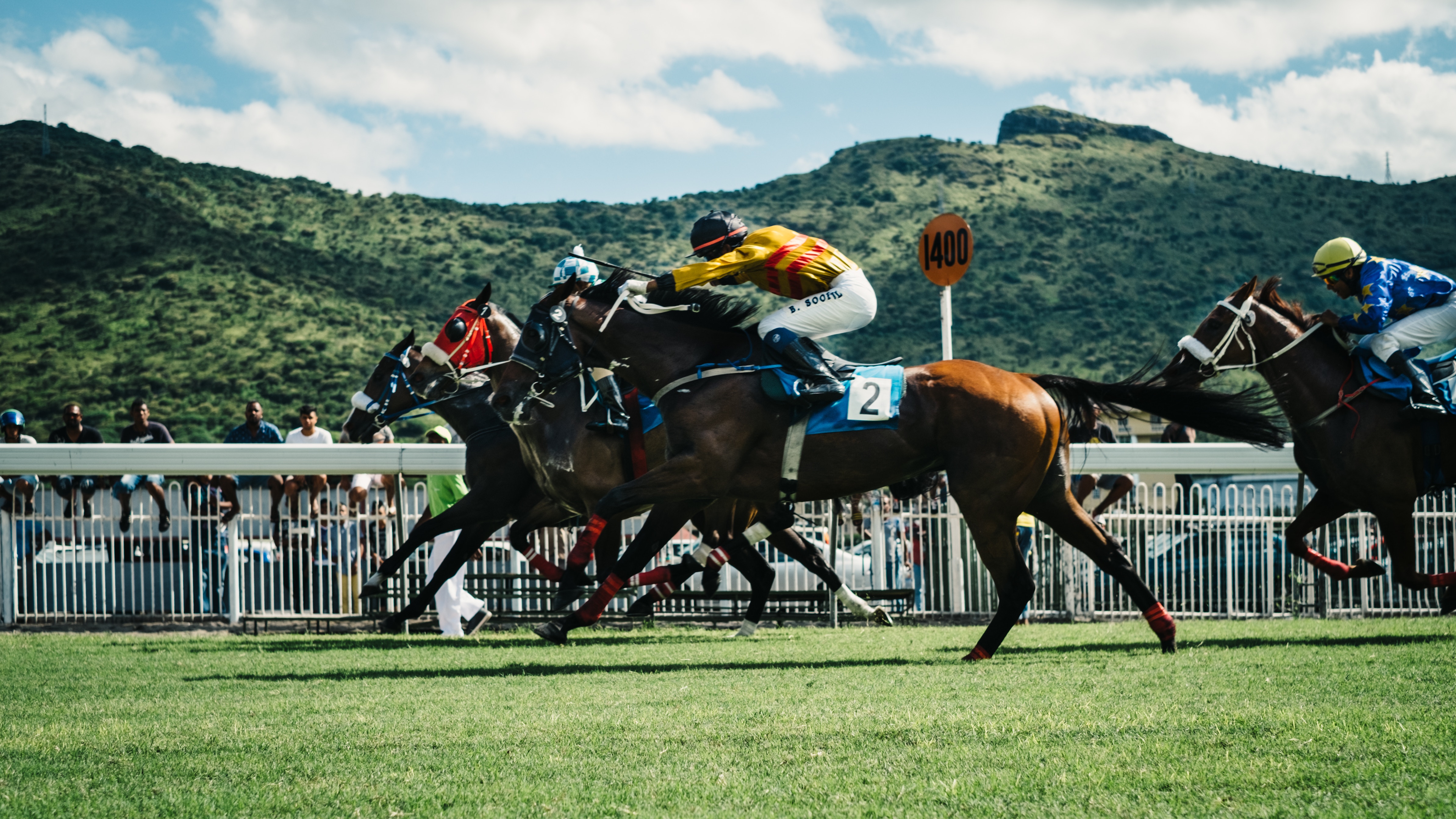 jockeys racing horses on a grass field