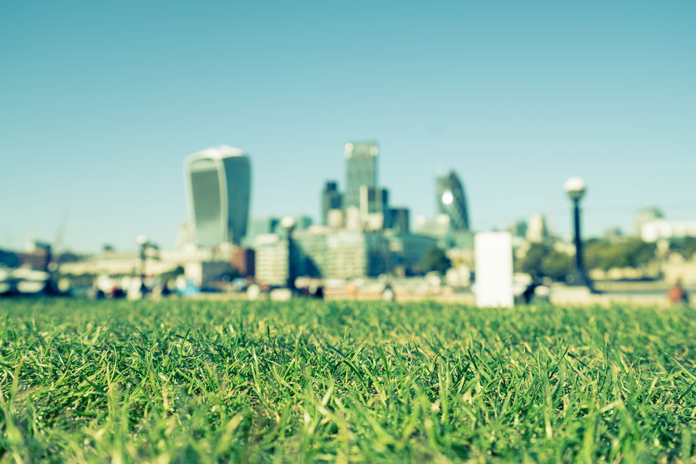 a field of grass with a factory in the background