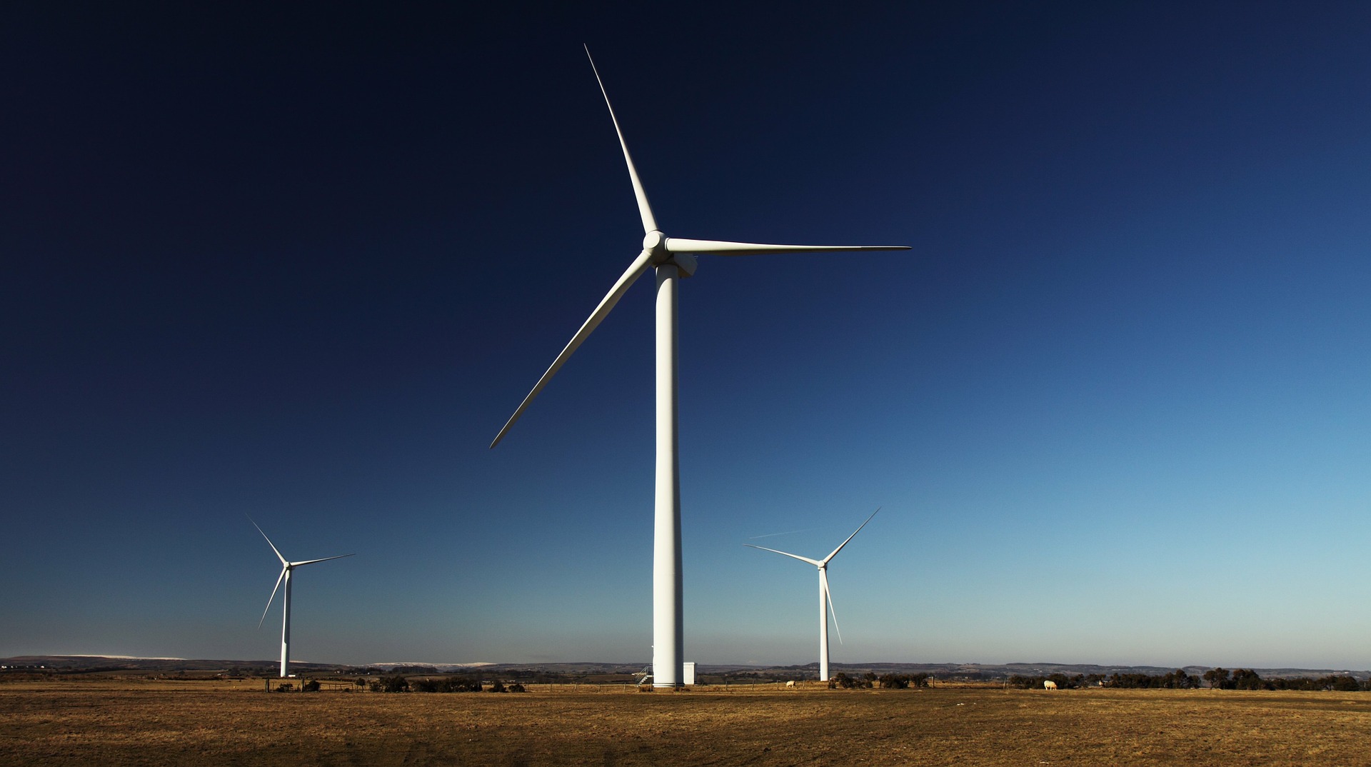a row of wind turbines