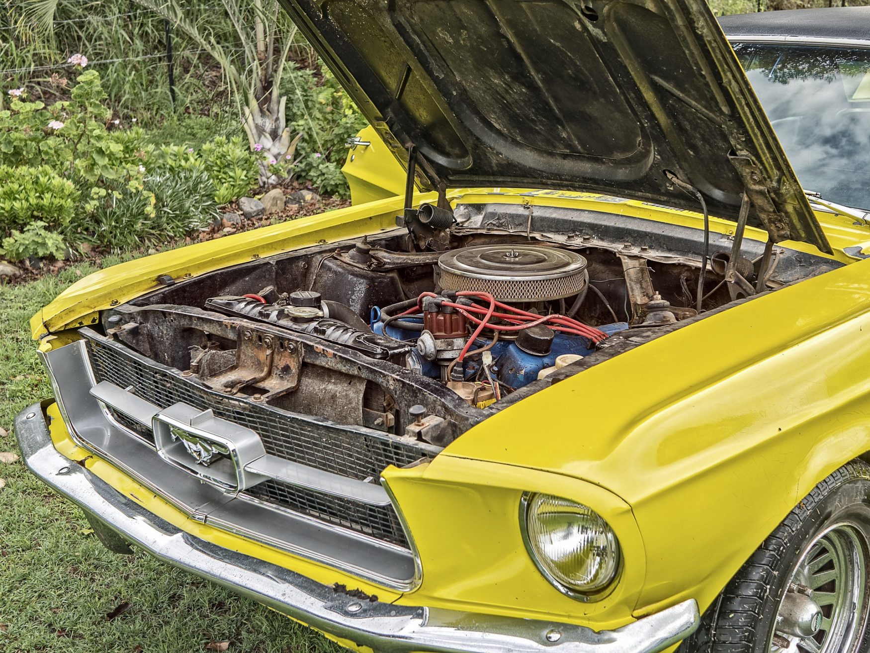 a yellow and green car