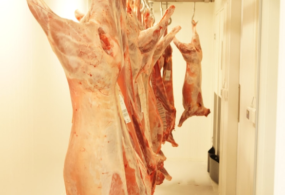 Unser Handwerk - image