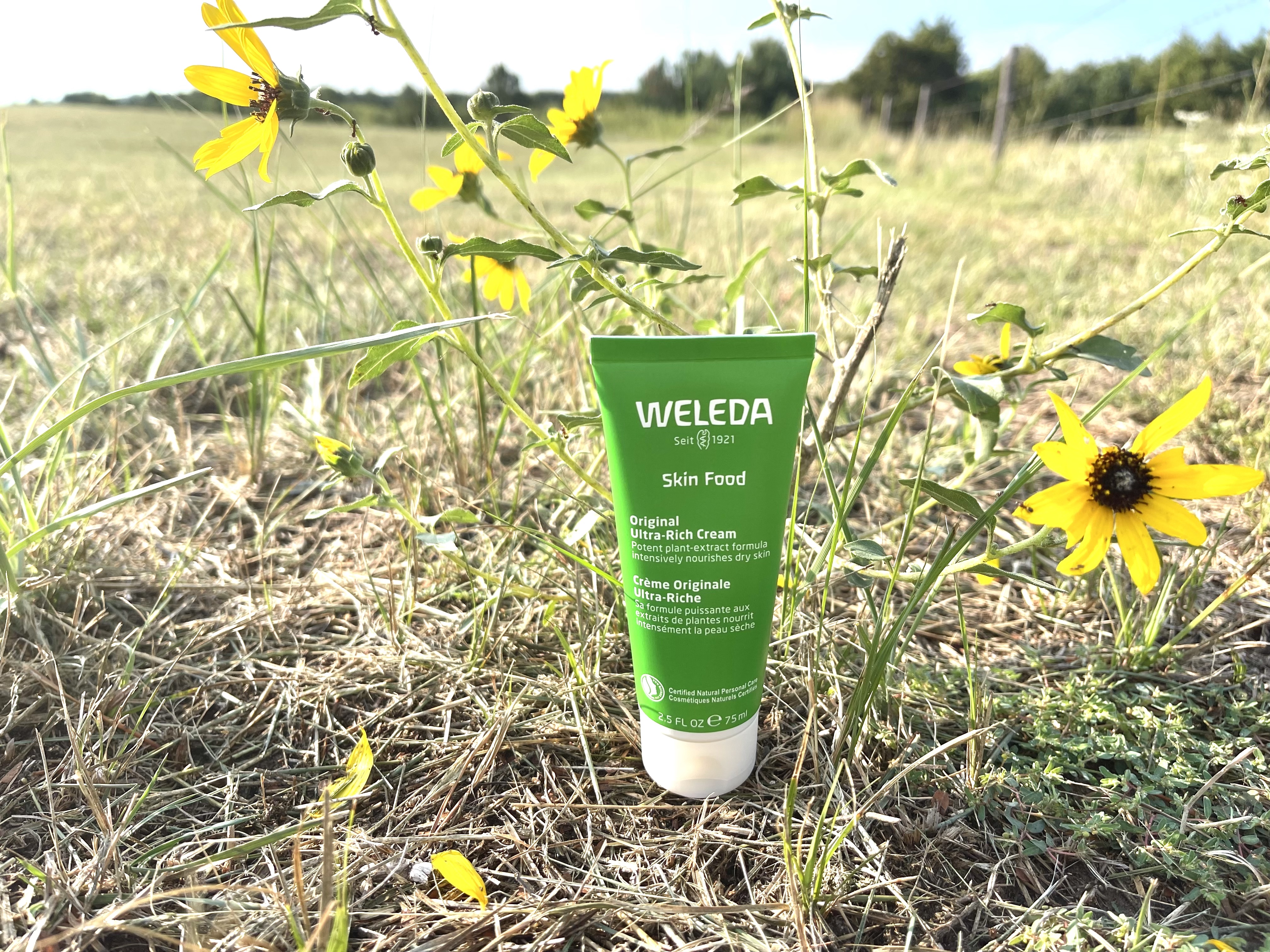Image of Weleda Skin Food by grass and flowers
