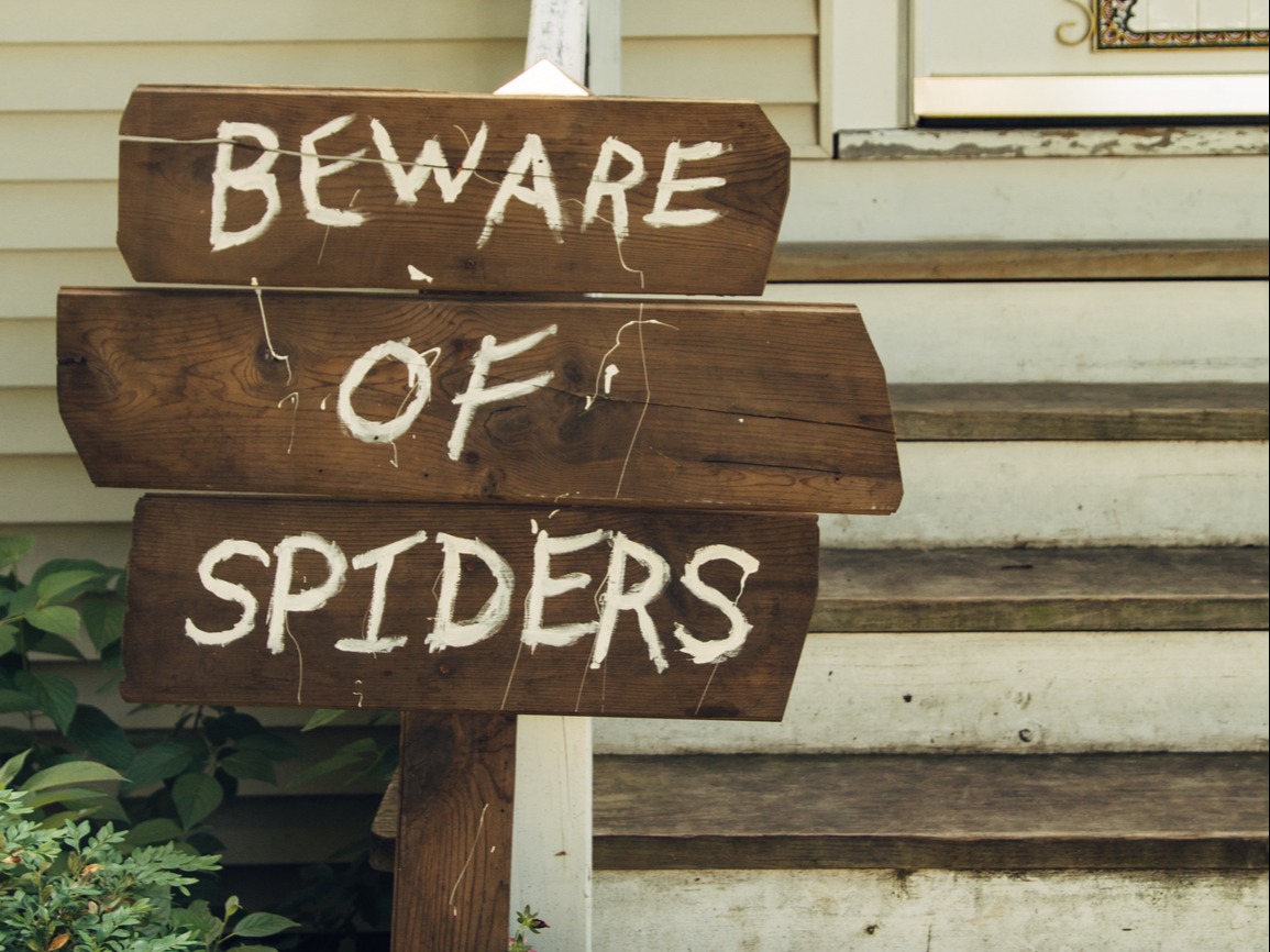 Image of wooden sign outside of front stairs to house that says "Beware of spiders"