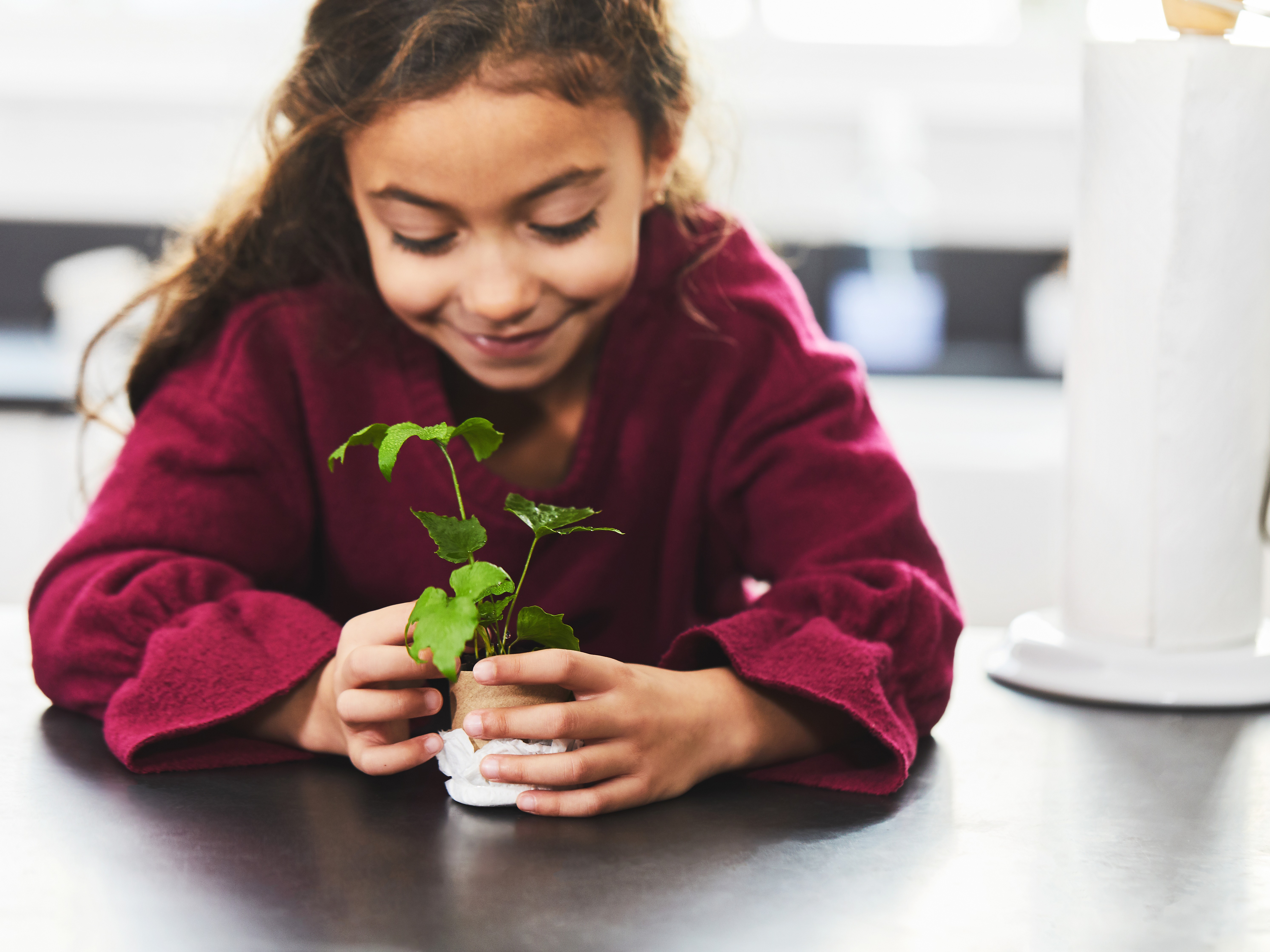 Image of girl in red shirt holding a small potted plant on counter