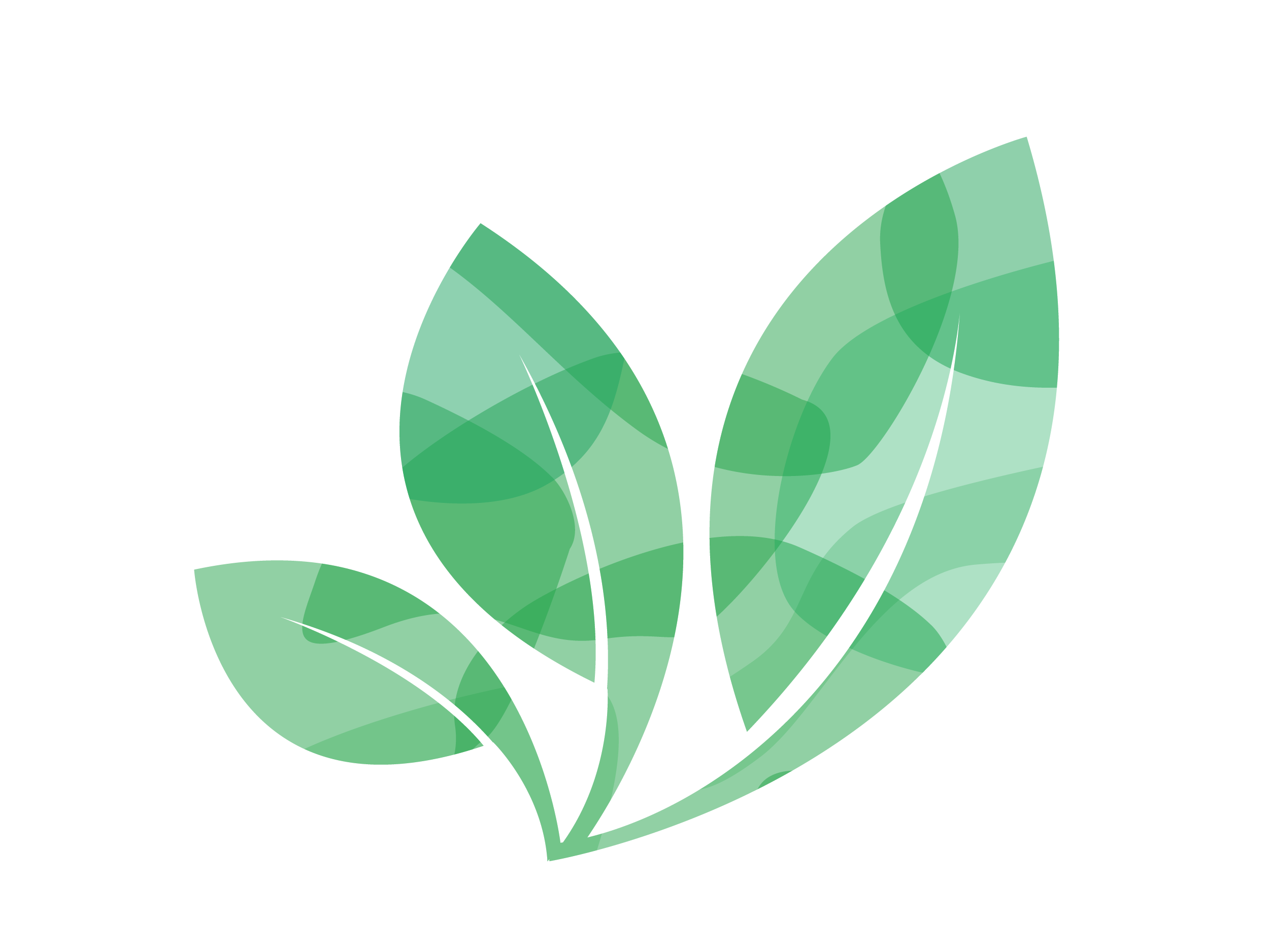 Green leaf illustration