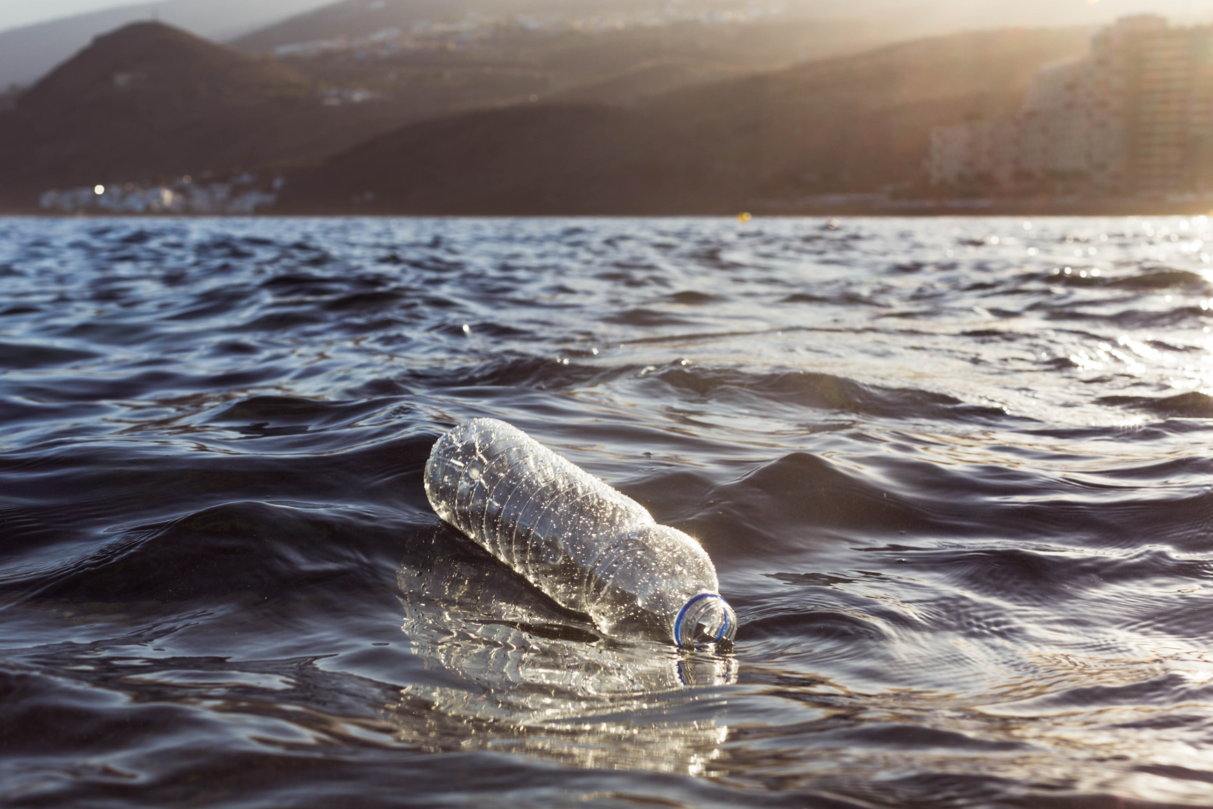 7 Disturbing Ways Plastic Bags Impact The Environment