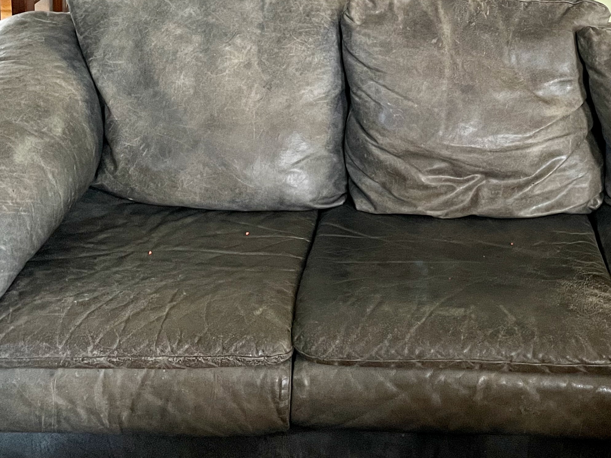 How to Clean a Leather Couch