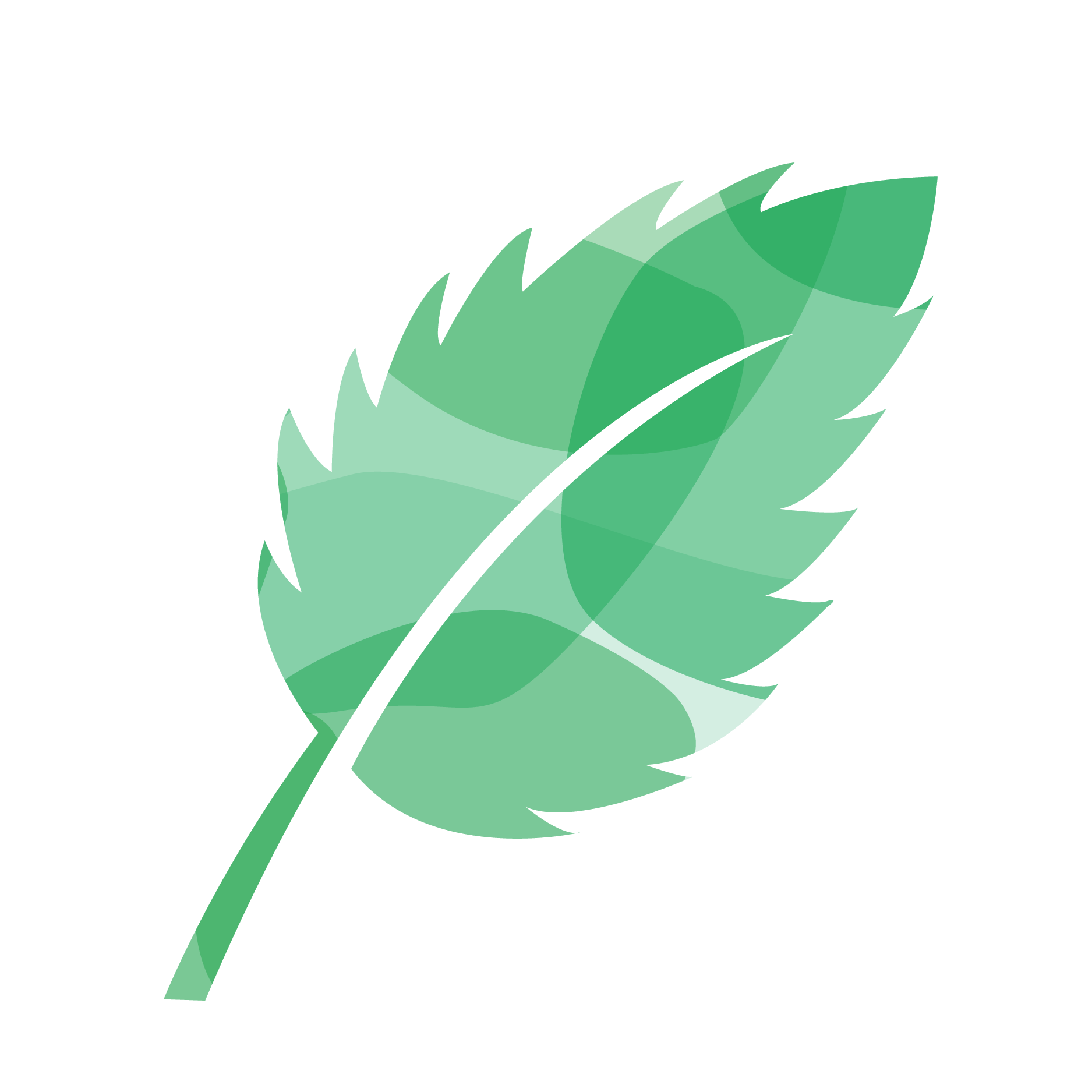 How to Wash a Down Comforter in 4 Easy Steps