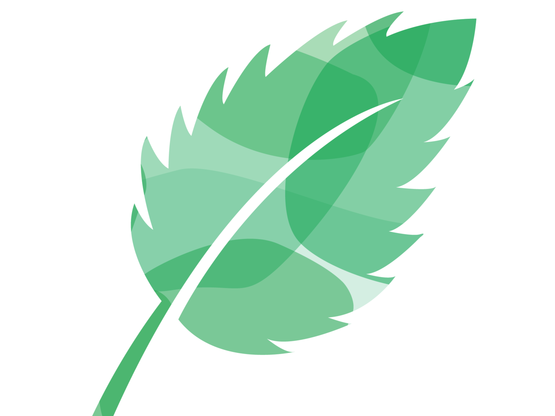 Illustration of a green leaf