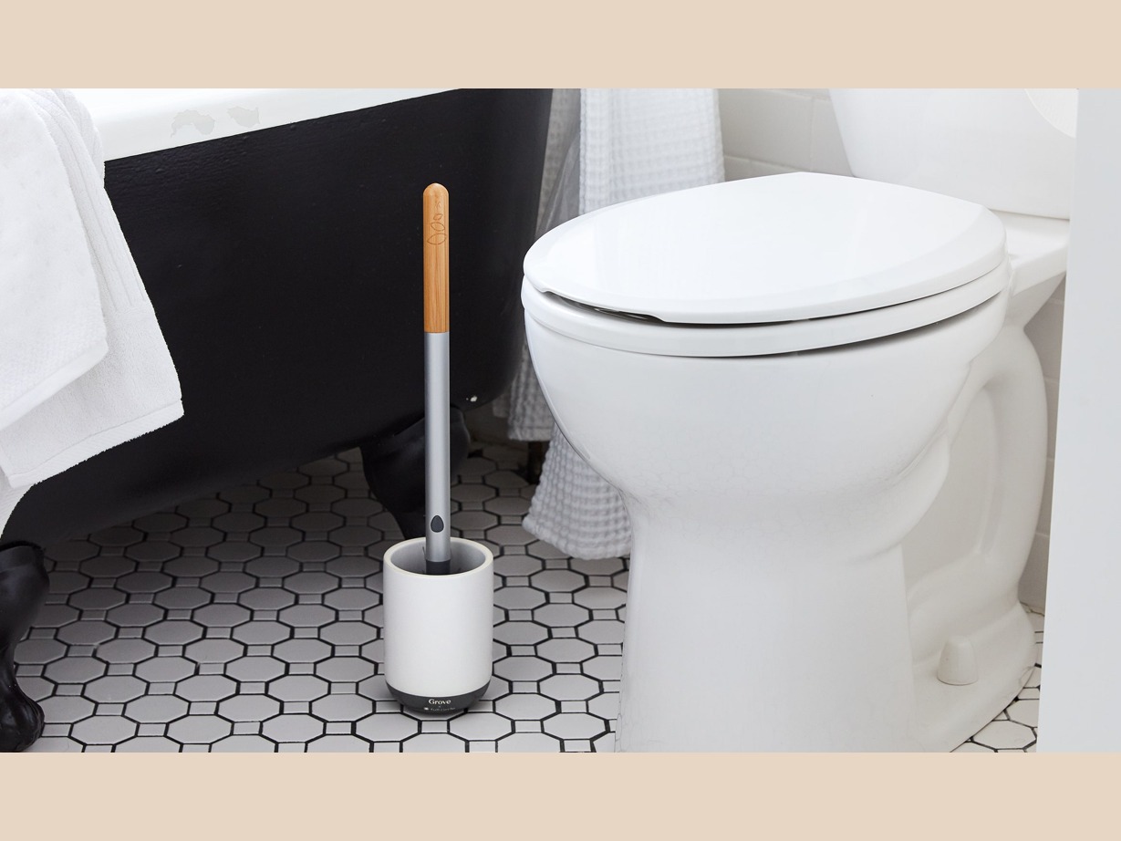 Toilet brush and toilet