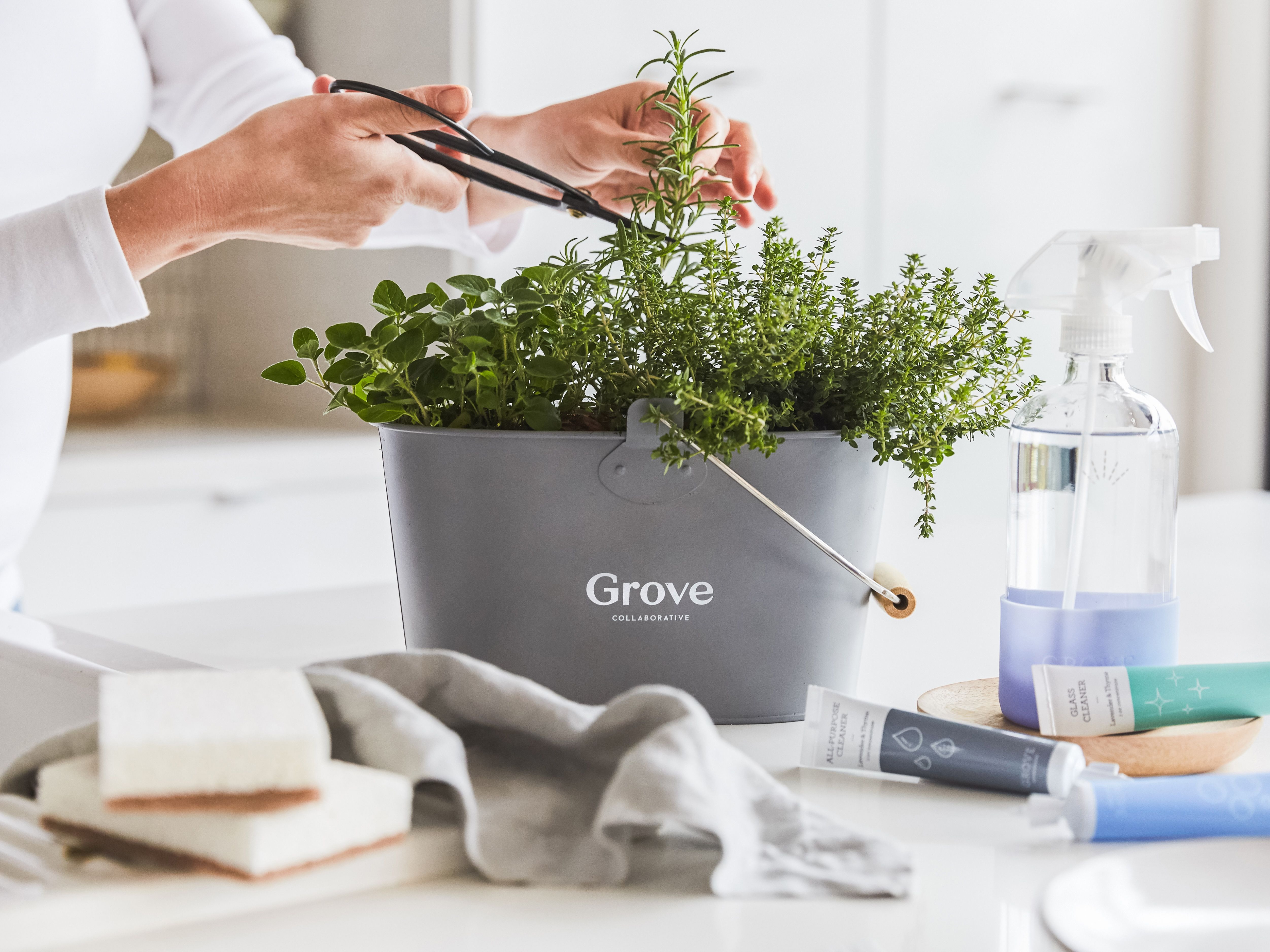 Image of a Grove Co. Cleaning Caddy on a counter with a garden growing inside and someone trimming the plants