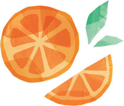 Illustration of oranges