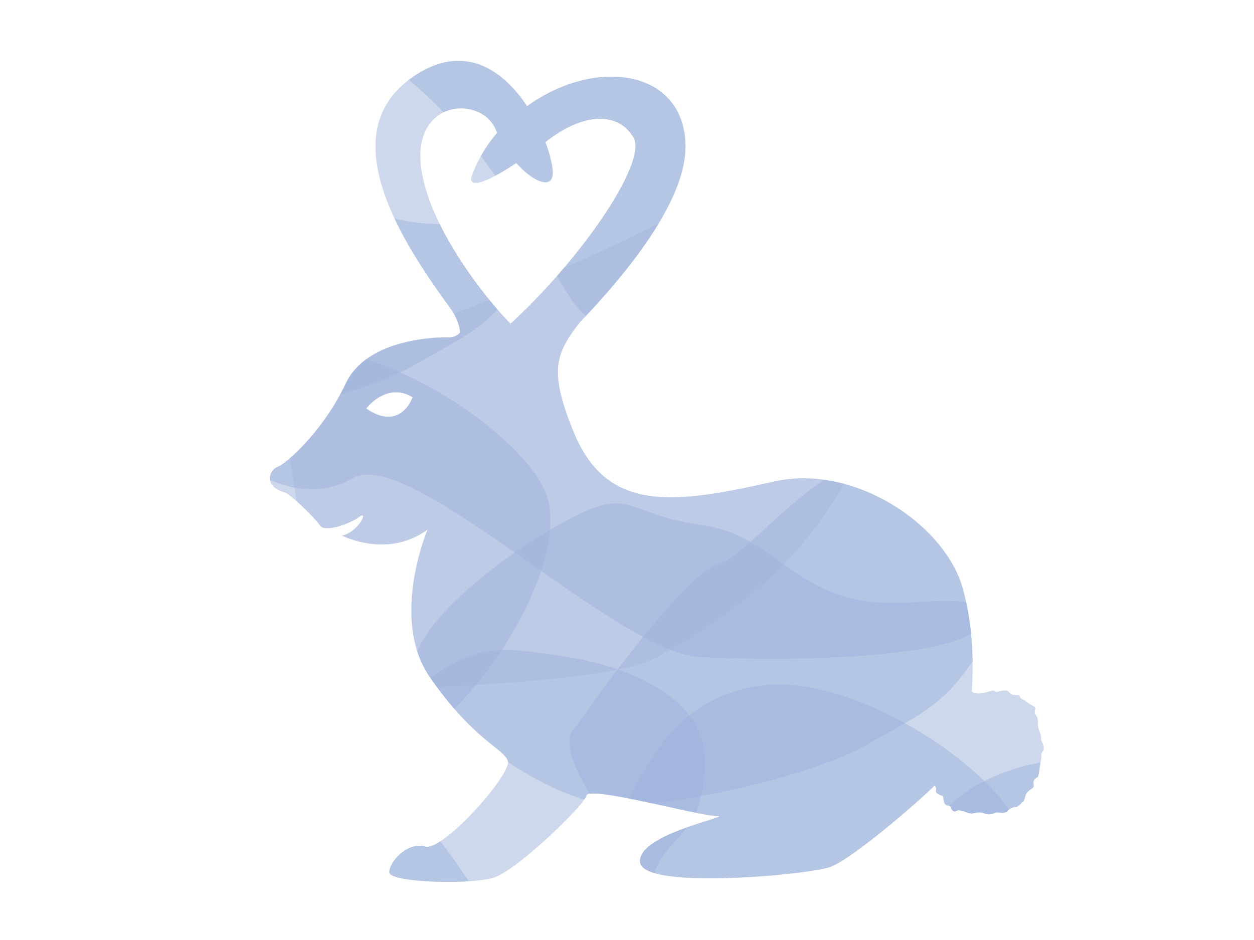 How to Wash a Down Comforter in 4 Easy Steps