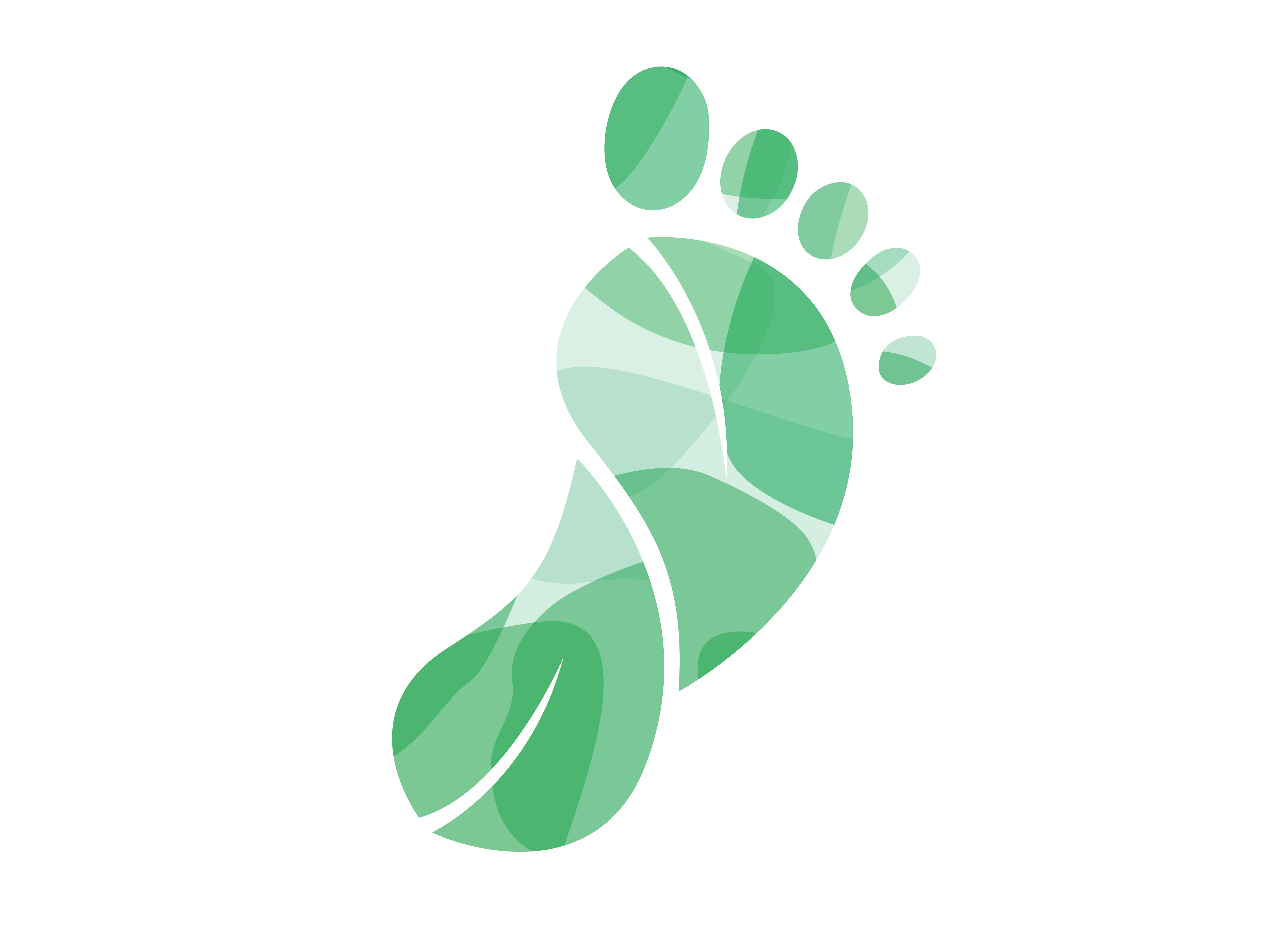 Green footprint illustration