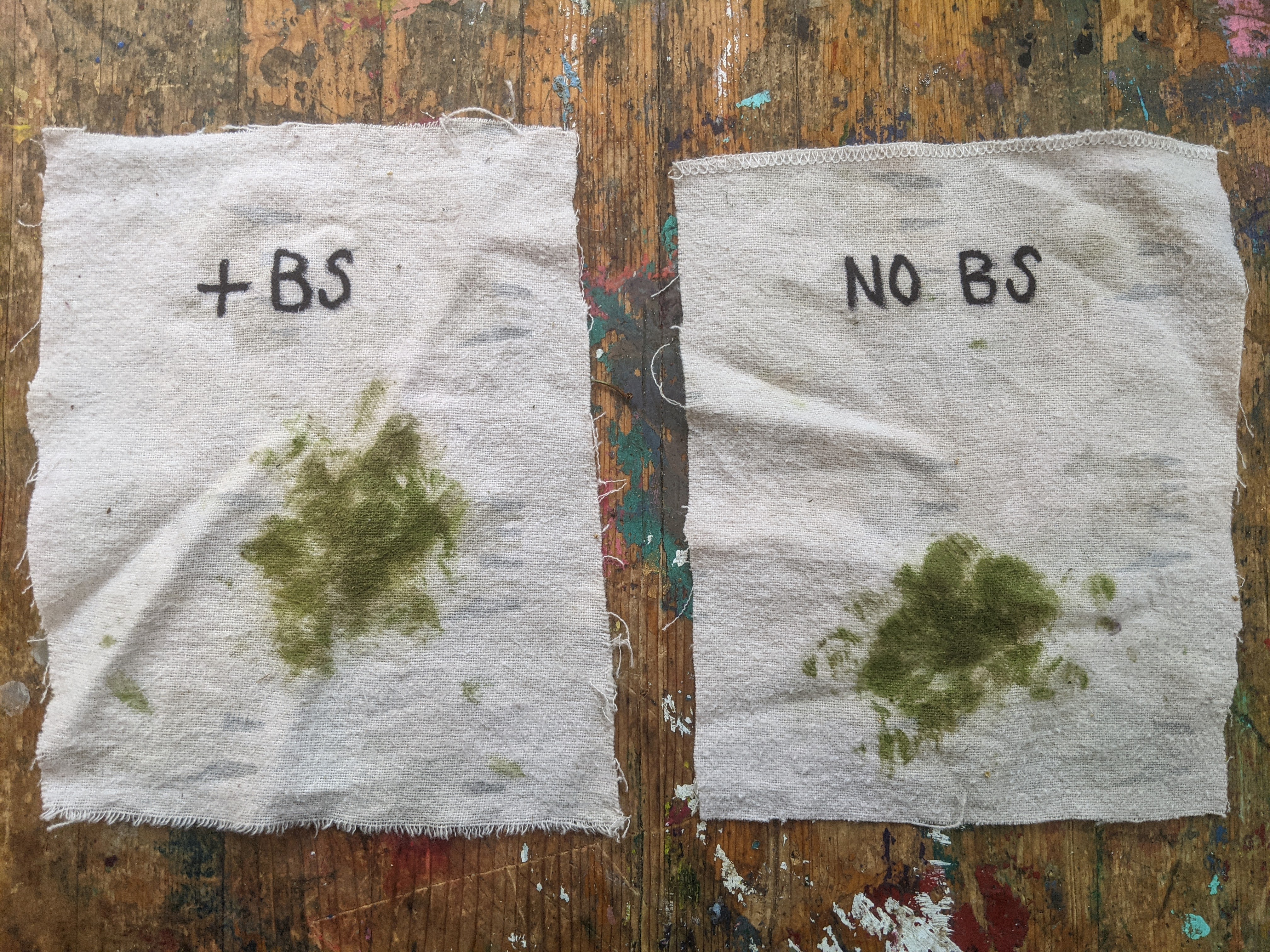 Image of 2 pieces of cloth with grass stains