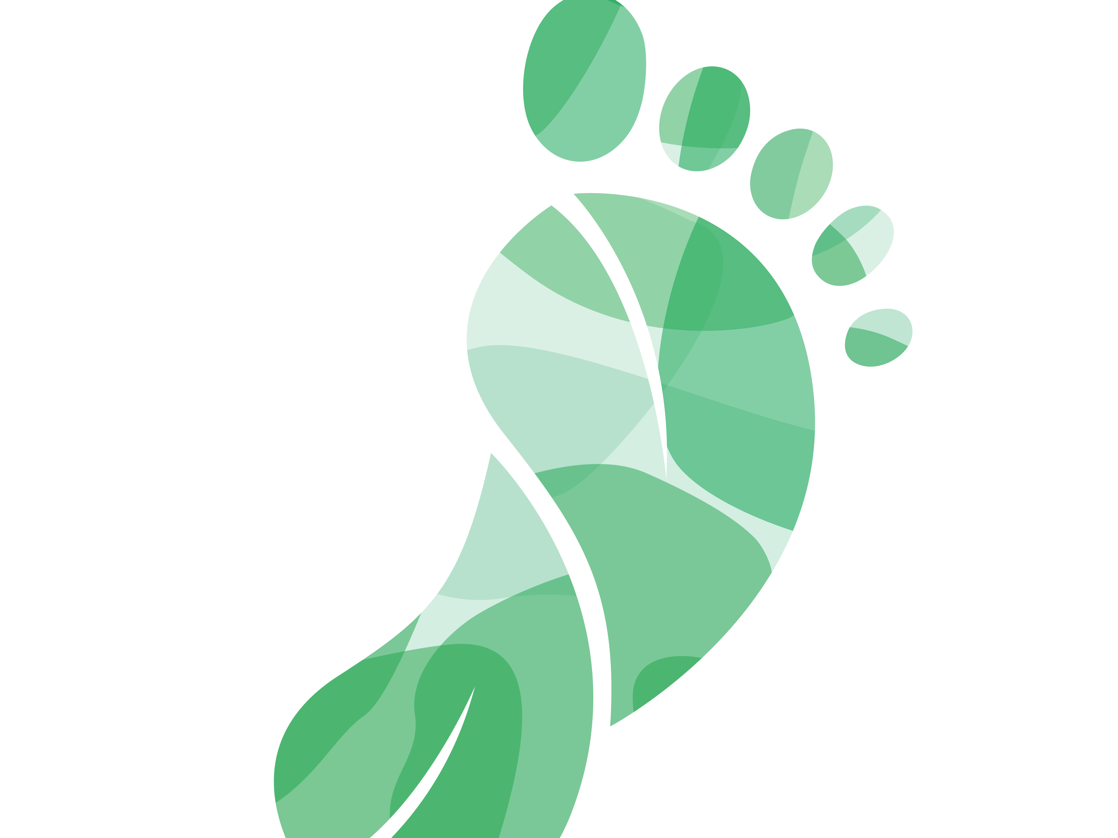 illustration of a footprint