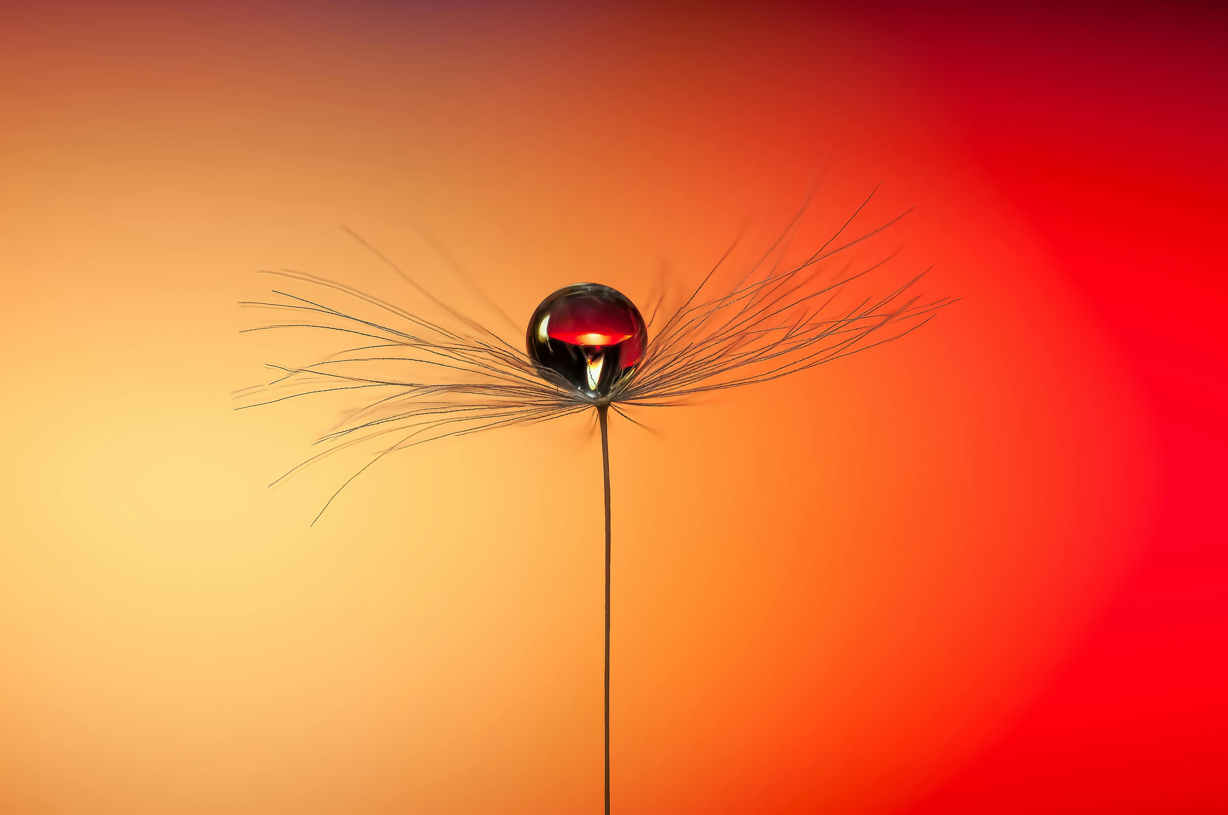 Personalise Your Guests’ Experience 