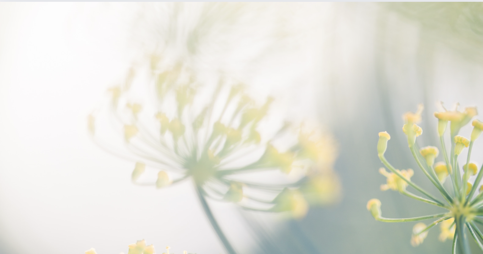 5 reasons you should introduce memberships to your business