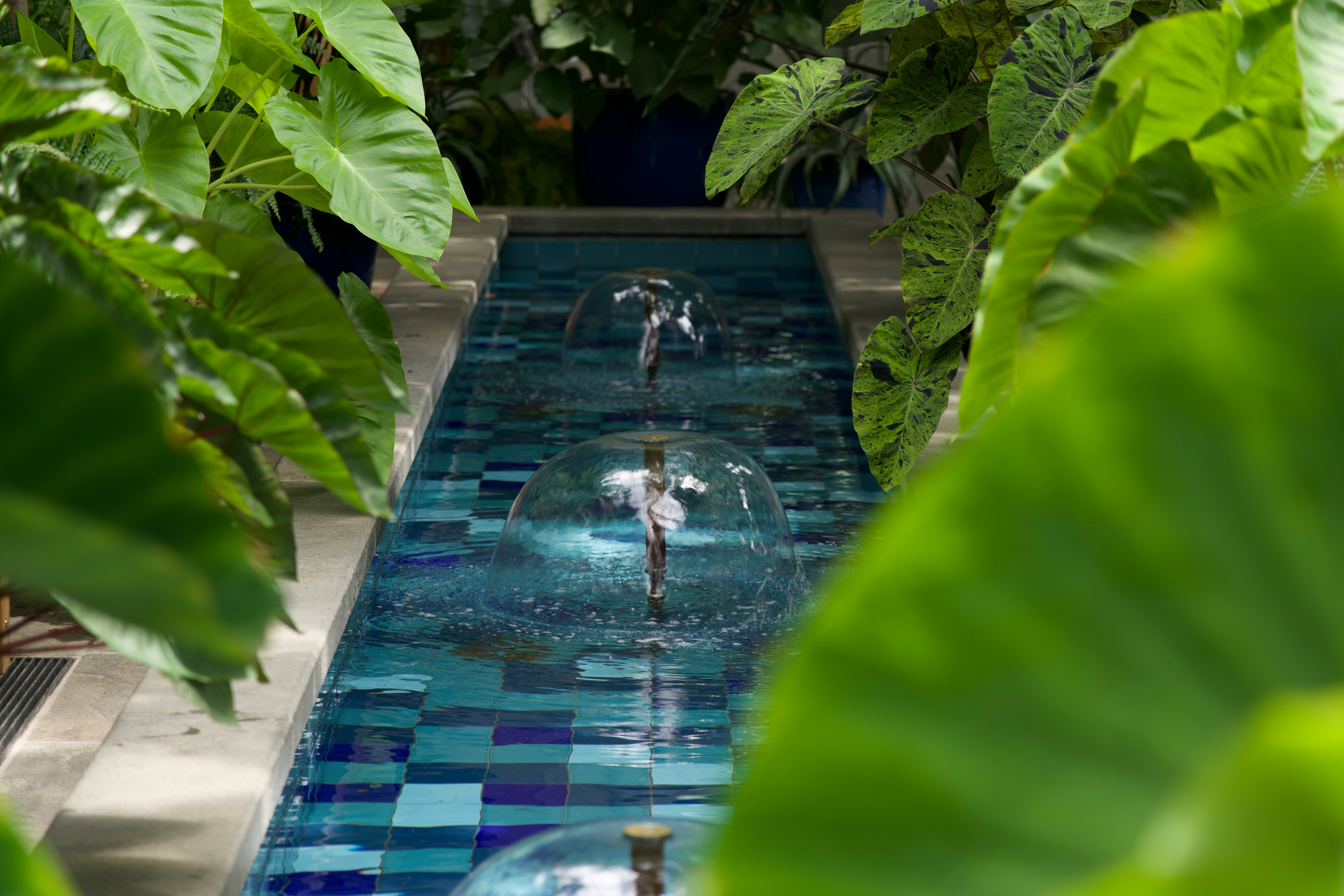 Where Are Australians Really Spending Their Wellness Dollars?