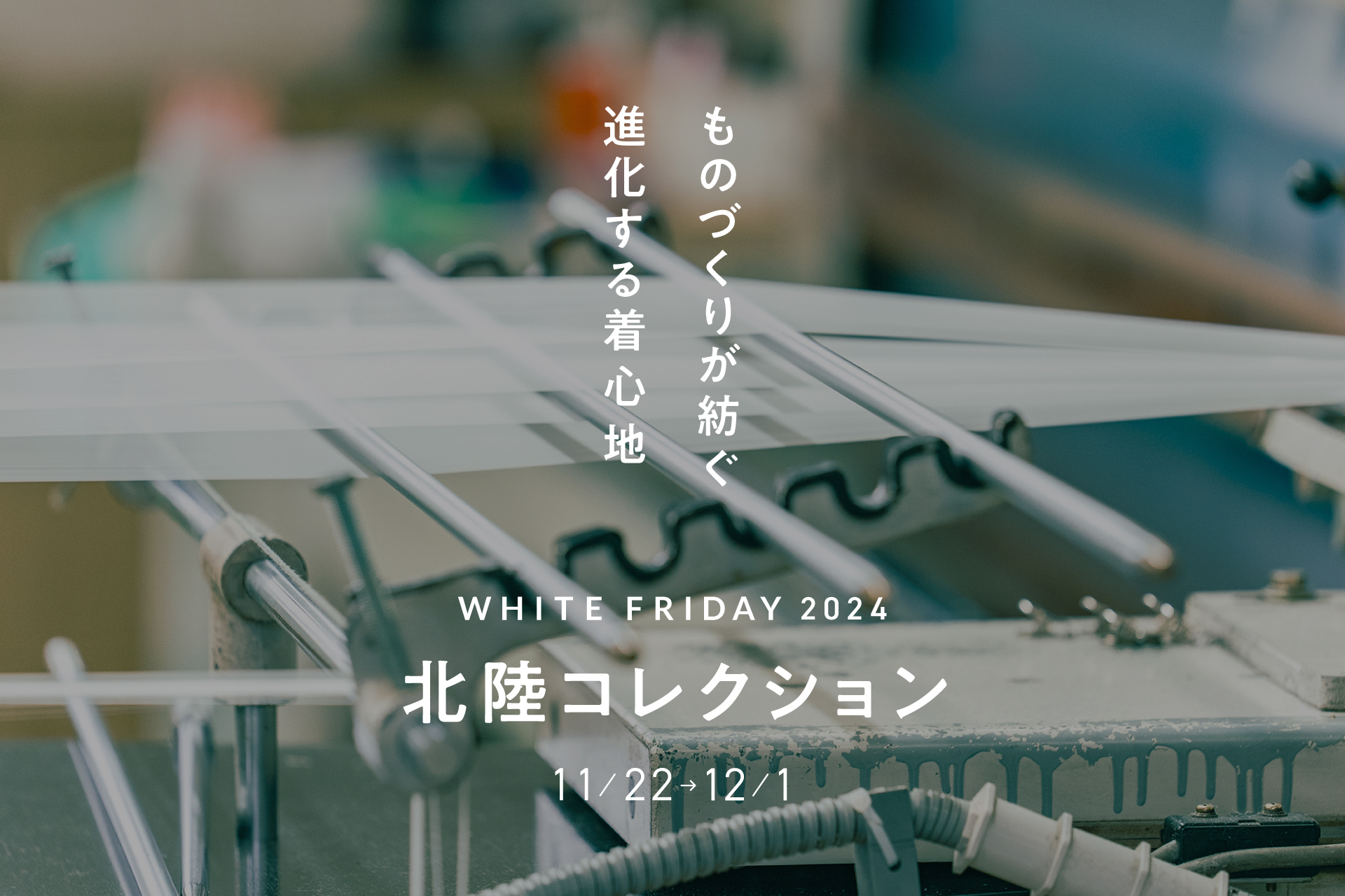 WF2024_1