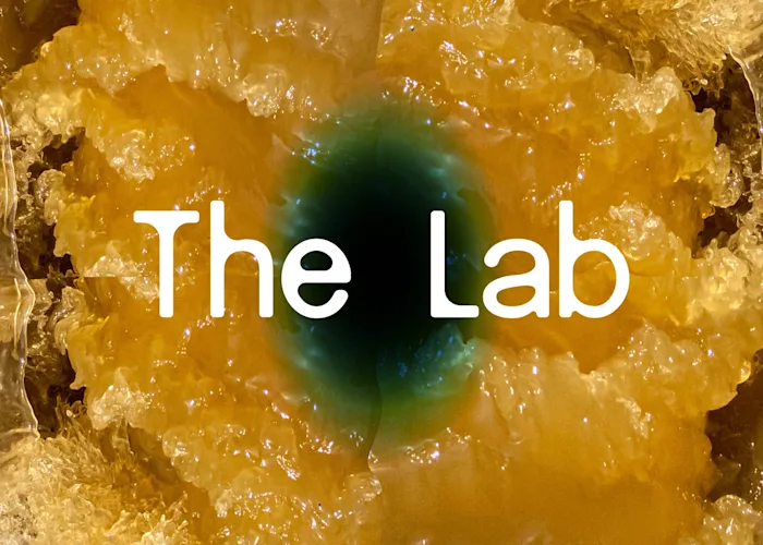 ONLINE The Lab4