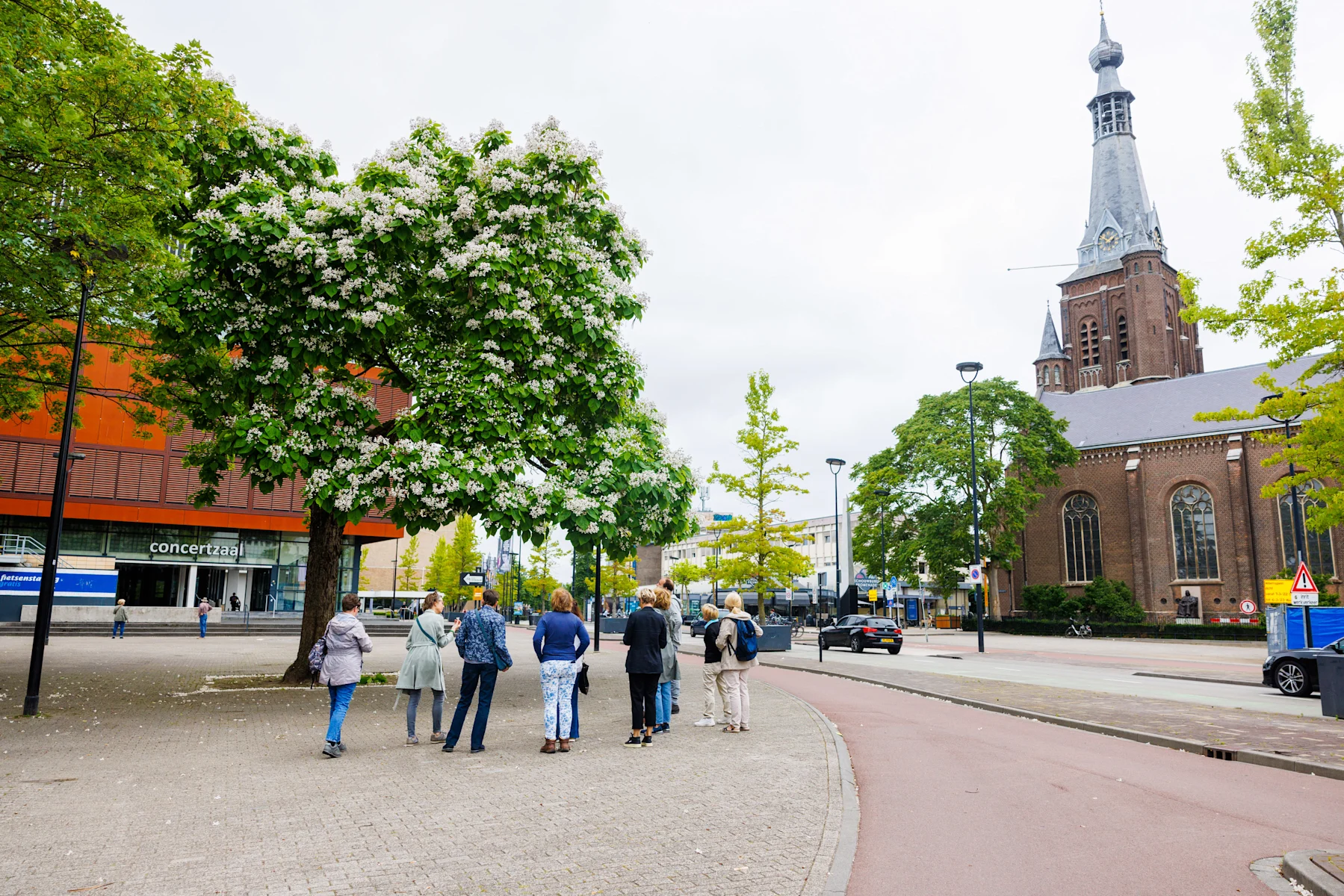 Bomen-wandeling binnenstad-1