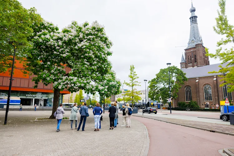 Bomen-wandeling binnenstad-1