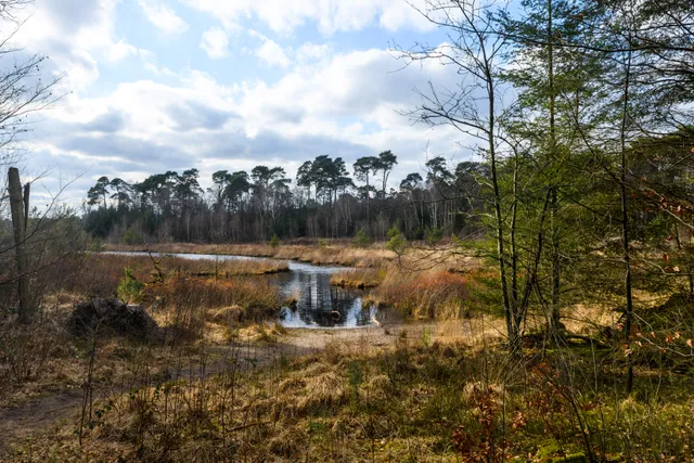 Oisterwijkse bossen en vennen Jostijn Ligtvoet