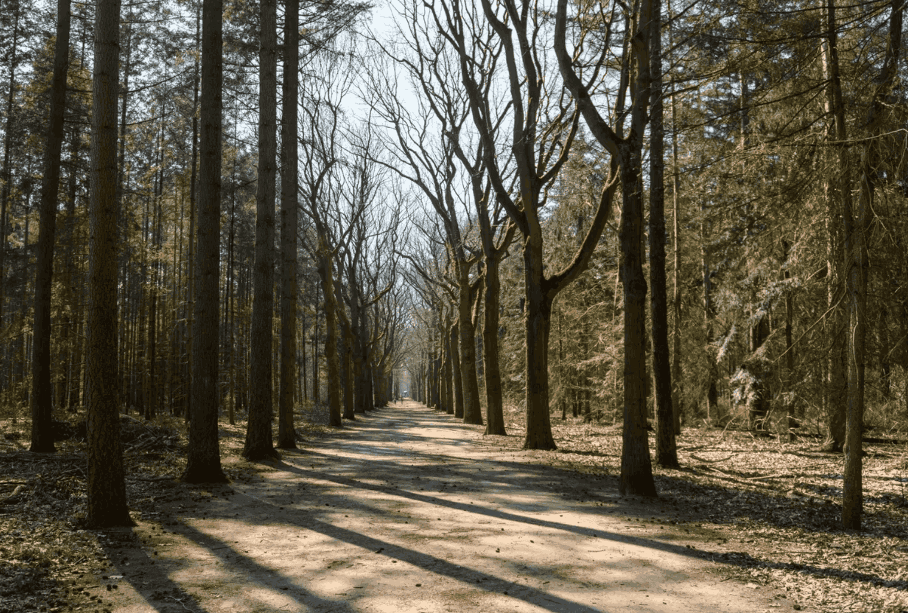 Natuur