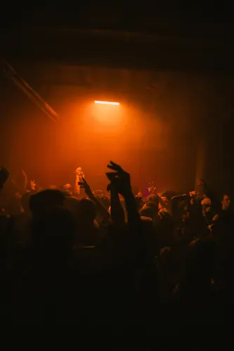 House of Wonders Kingsnight