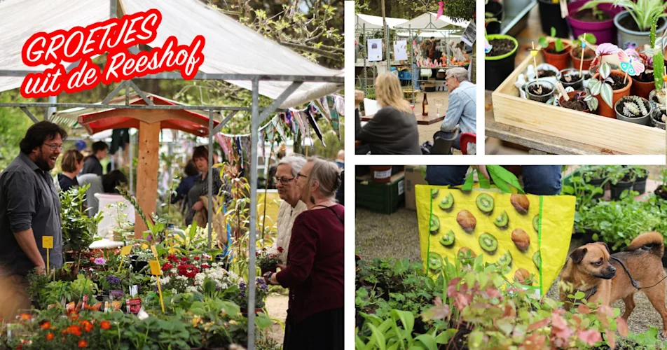 656389214 1565062222289390 8995201548942763854 n