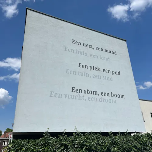 Een nest, een mand