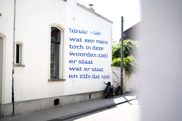 Blnde Vlek
