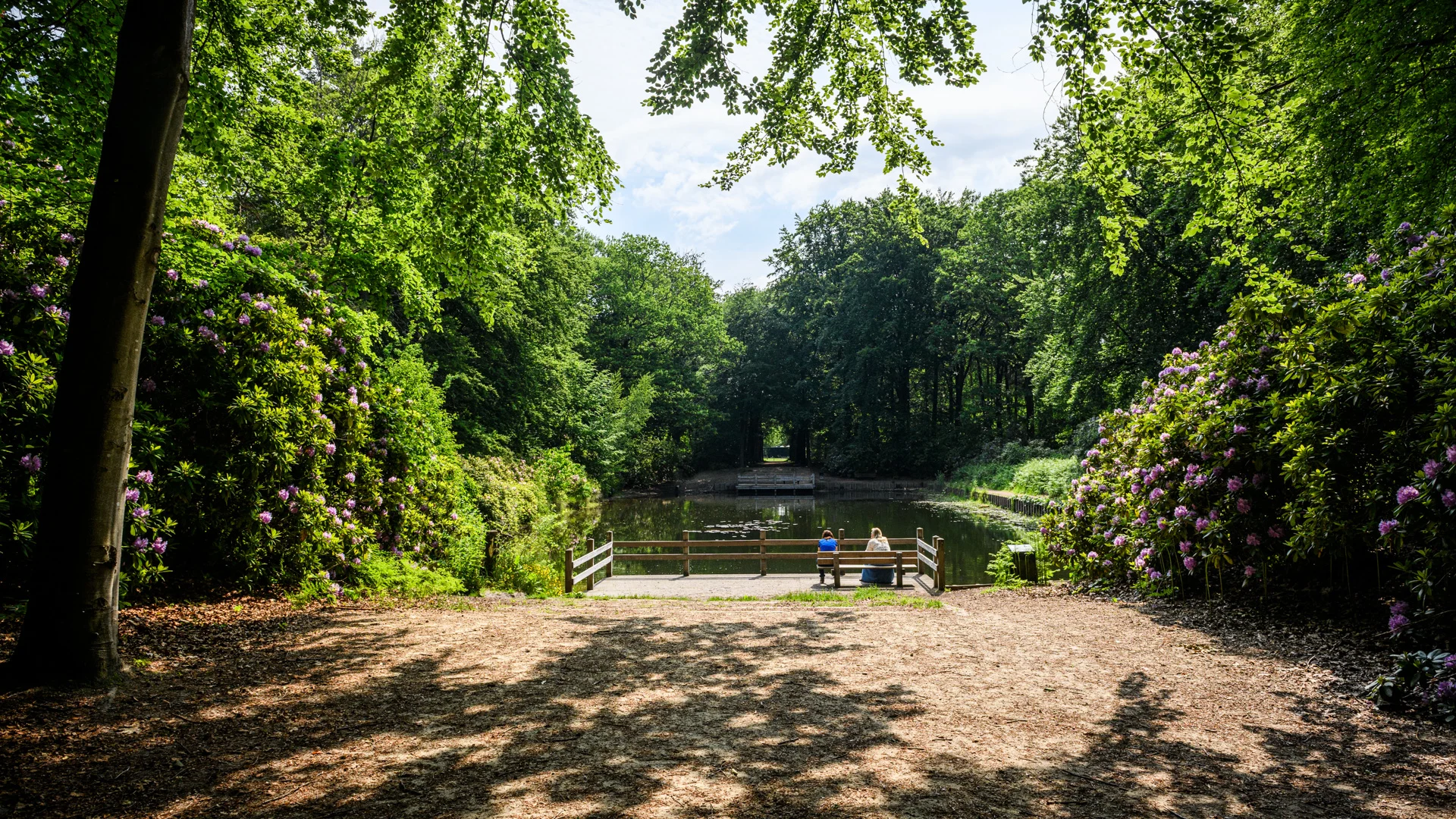 Avond-Lentewandeling: Wilmabos & Oude Warande-1