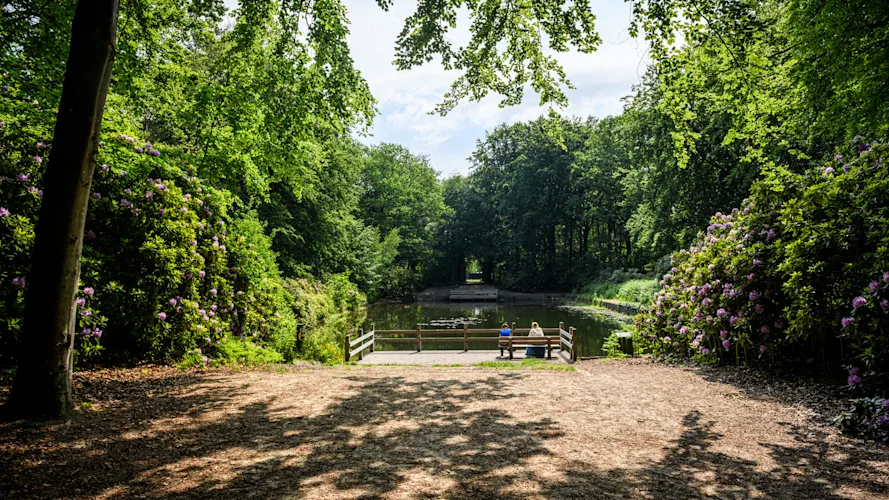 Avond-Lentewandeling: Wilmabos & Oude Warande-1