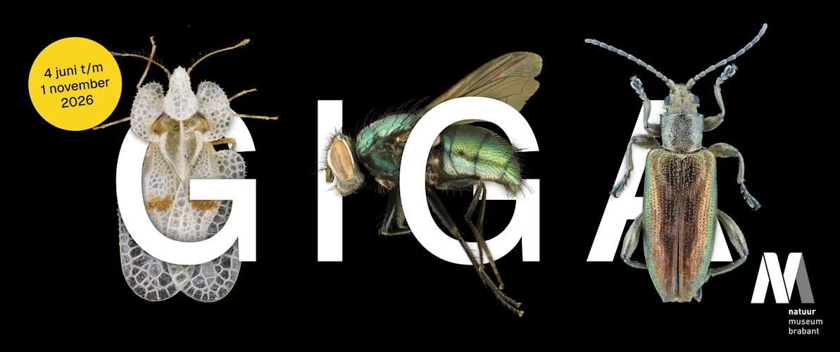 FOTO Gigantische insecten in Natuurmuseum Brabant