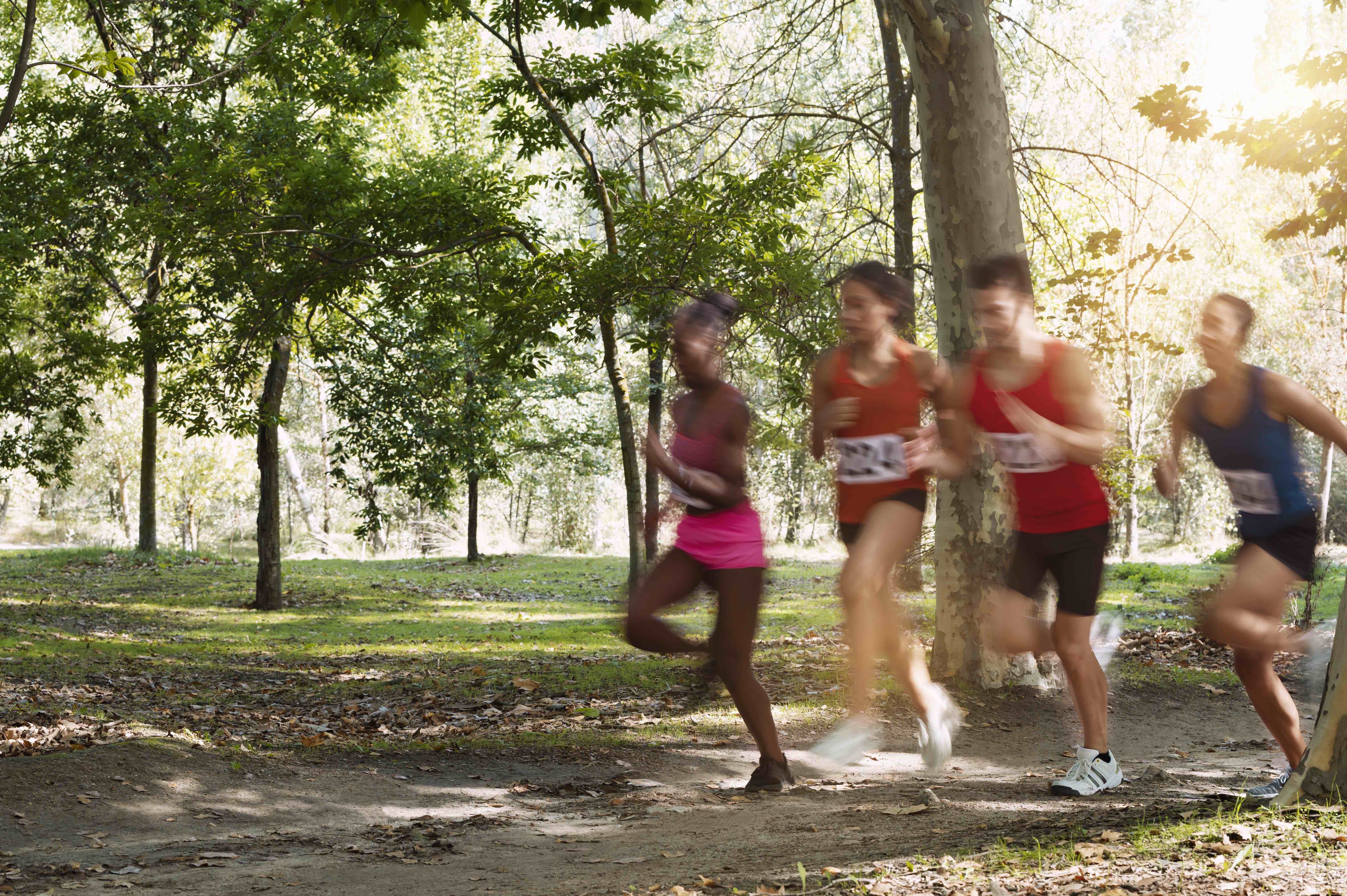 Running in the forest