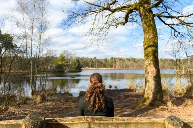 Oisterwijkse bossen en vennen Jostijn Ligtvoet 2