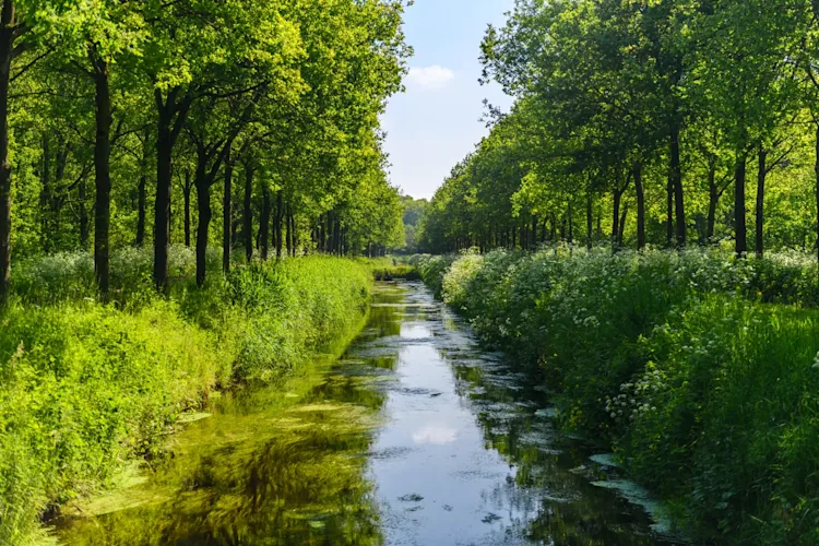 Noorderbos nature Jostijn Ligtvoet 