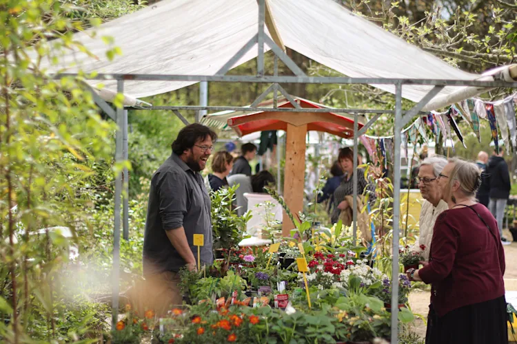 plantjes mark