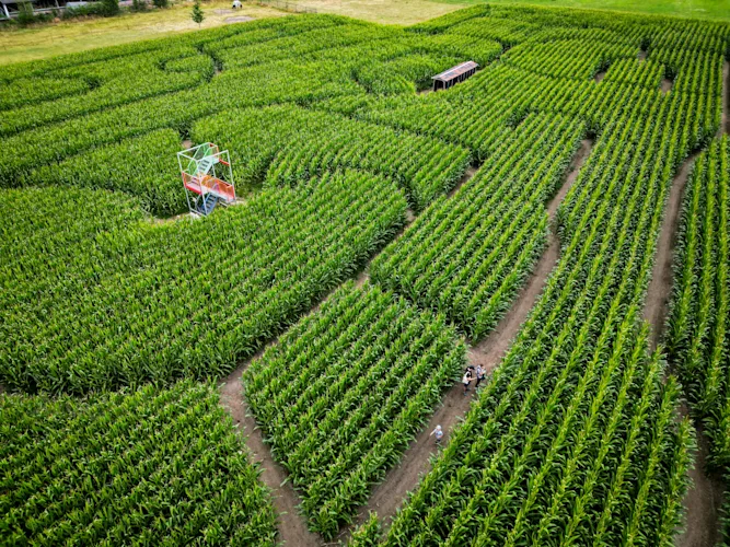 20250713 UDENHOUT JVI0003