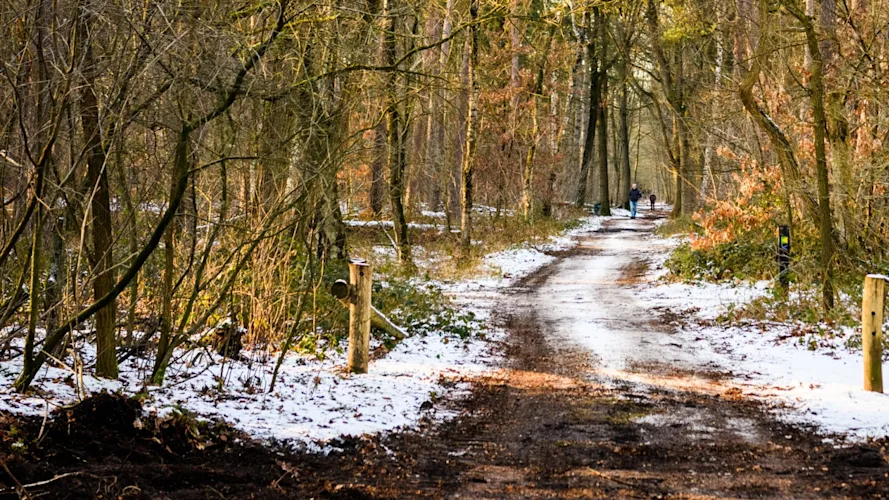 Winterwandeling Stadsbos