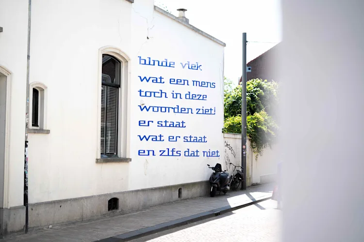 Blnde Vlek klein